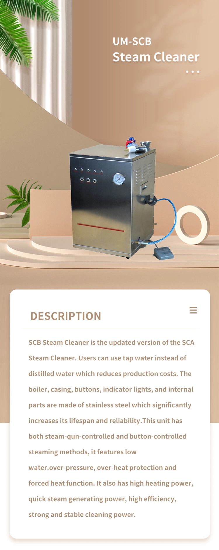 Hot Sale Dental Laboratory Steam Cleaner with CE Certificate